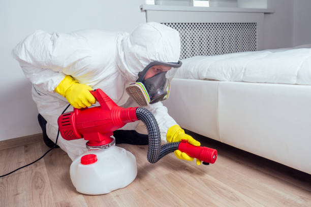 Best Local Pest Control Services  in Fordyce, AR