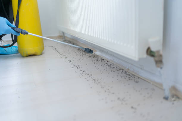 Best Affordable Pest Control Services  in Fordyce, AR