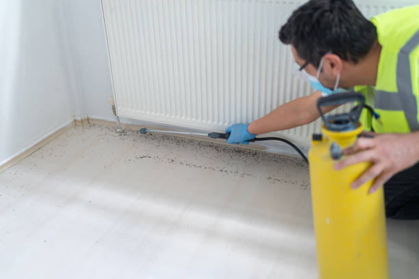 Best Residential Pest Control  in Fordyce, AR