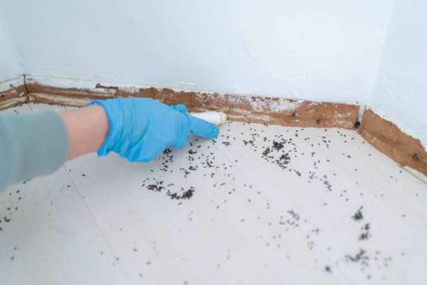Best Wasp Removal Services  in Fordyce, AR
