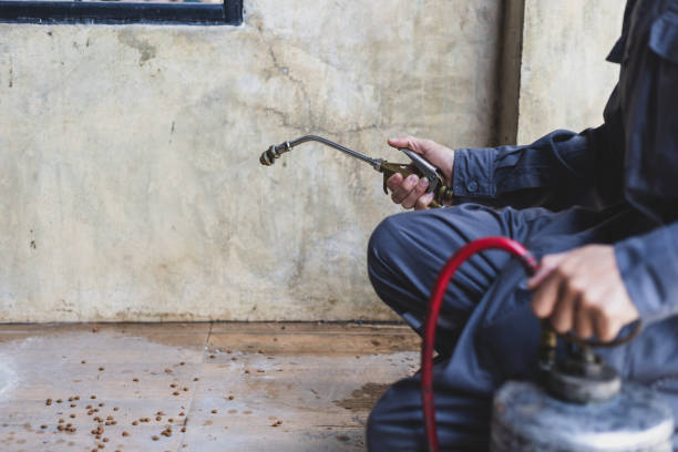Best Affordable Exterminators  in Fordyce, AR