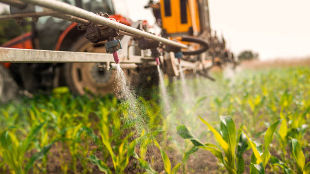 Best Pest Prevention Services  in Fordyce, AR