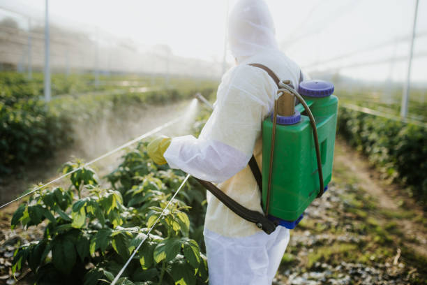 Best Commercial Pest Control Services  in Fordyce, AR